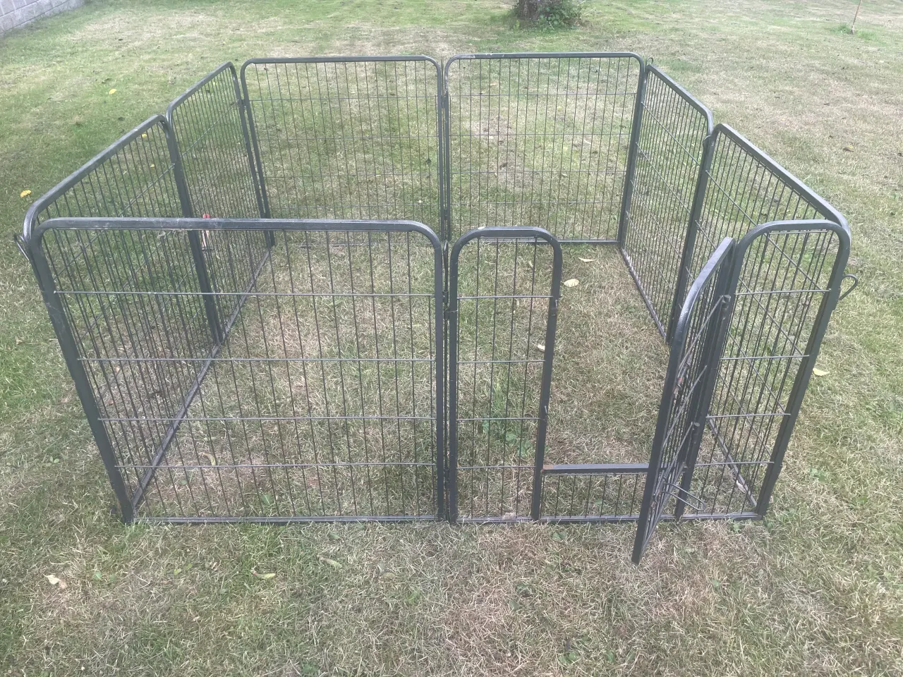 Billede 3 - Hvalpegård, 158x158 cm højde 82cm.