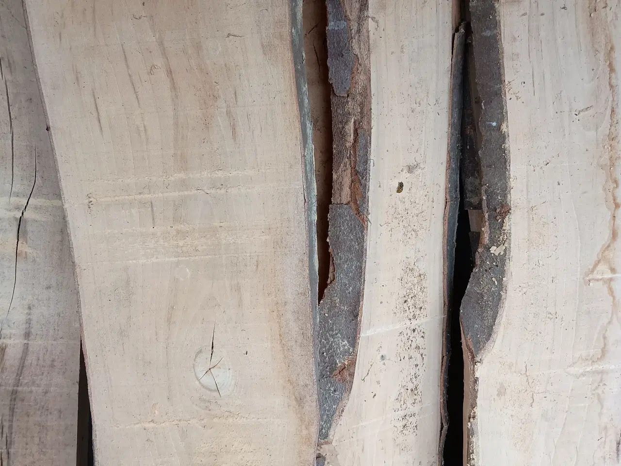 Billede 1 - Bøgetræ brædder