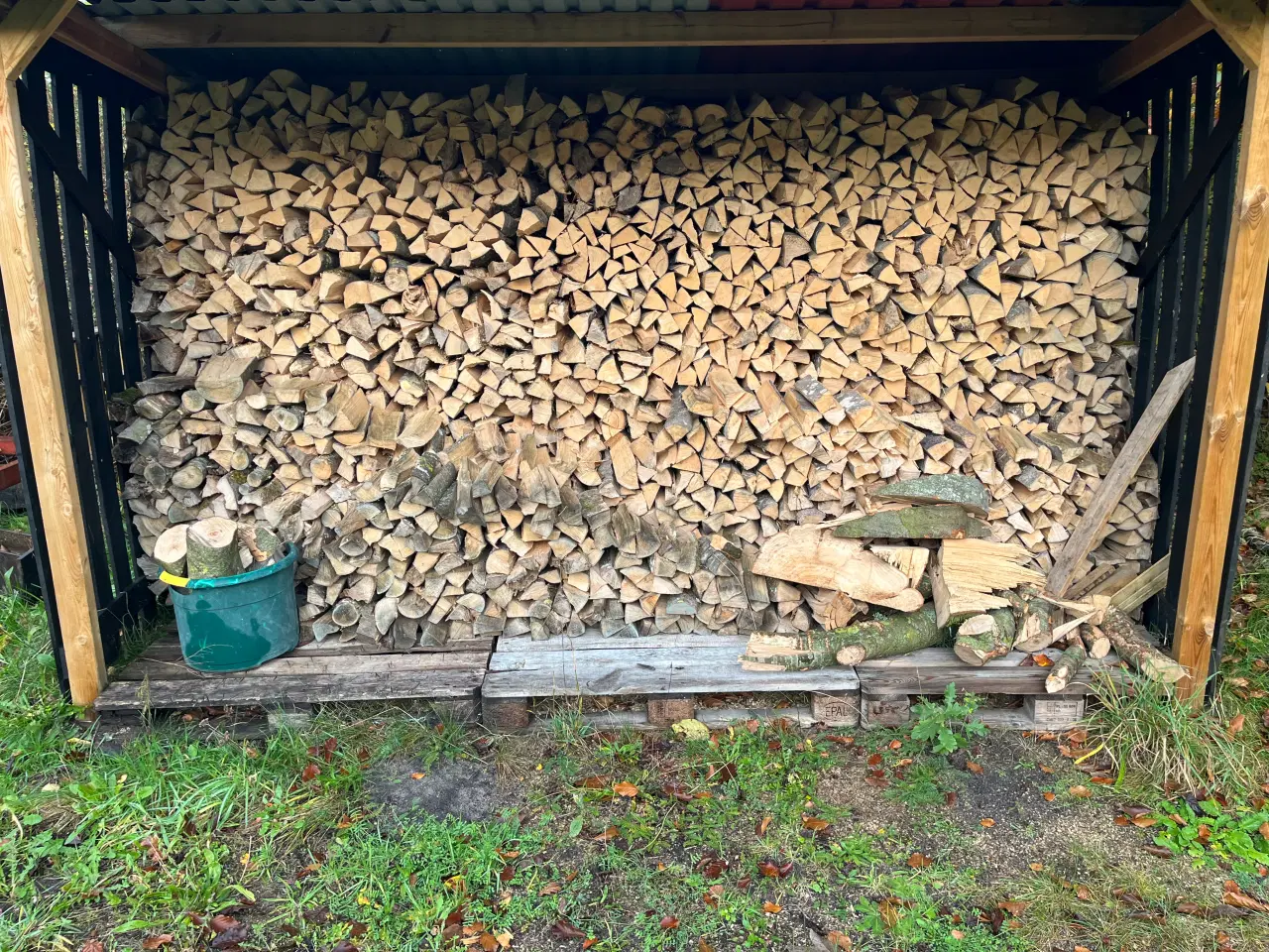 Billede 1 - Bøgetræ til salg