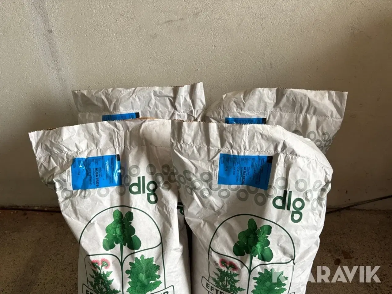 Billede 4 - Gul sennep DLG økologisk, 60 kg
