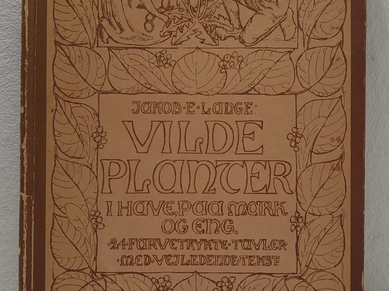Billede 1 - J. E. Lange: Vilde Planter i Have,Paa Mark og Eng.