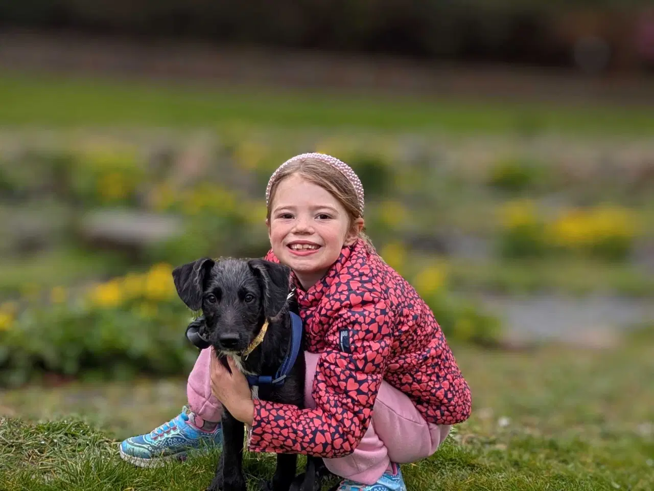 Billede 12 - Unikke Whipoodle