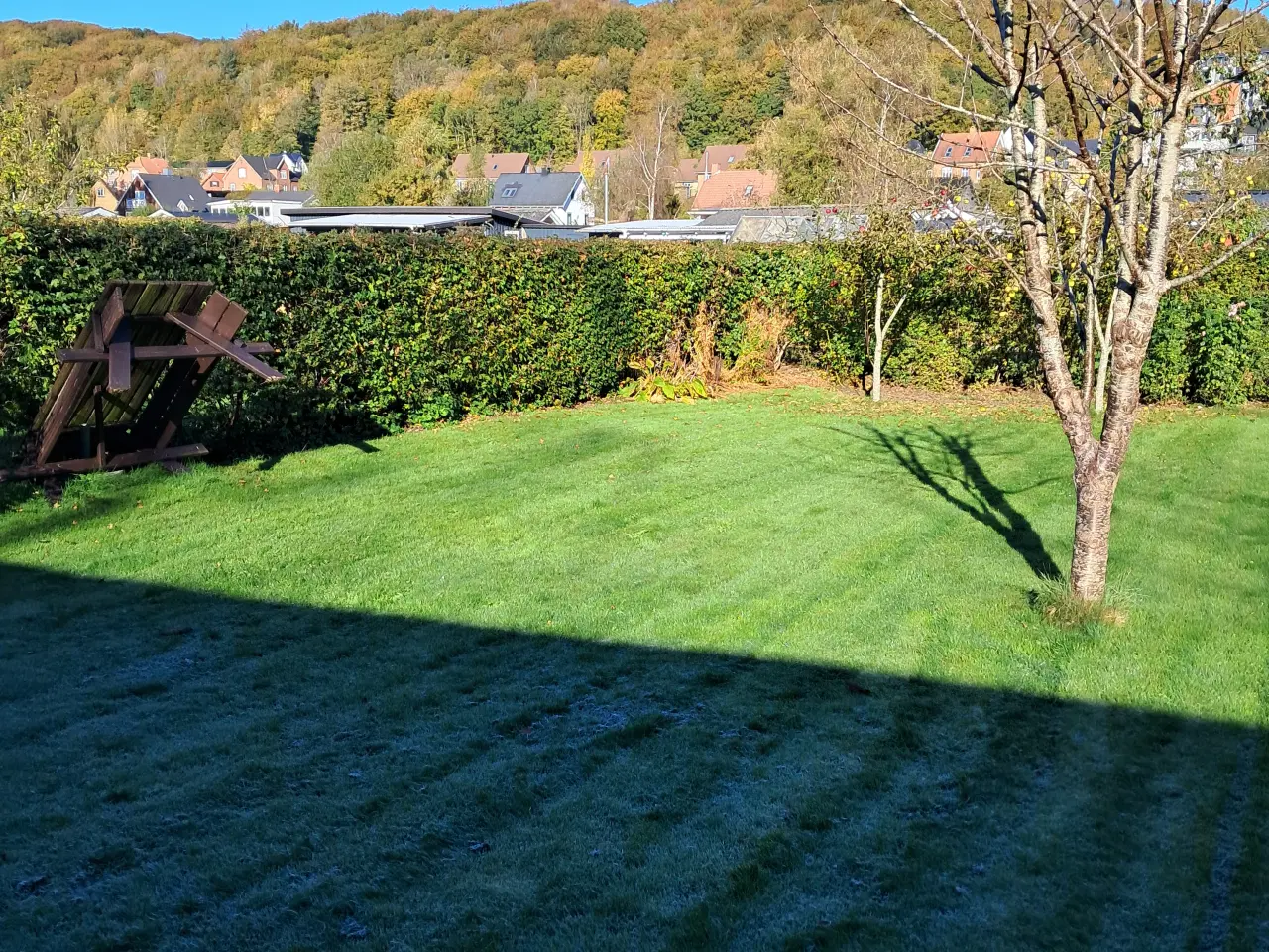 Billede 3 - Kolonihave I Vejle