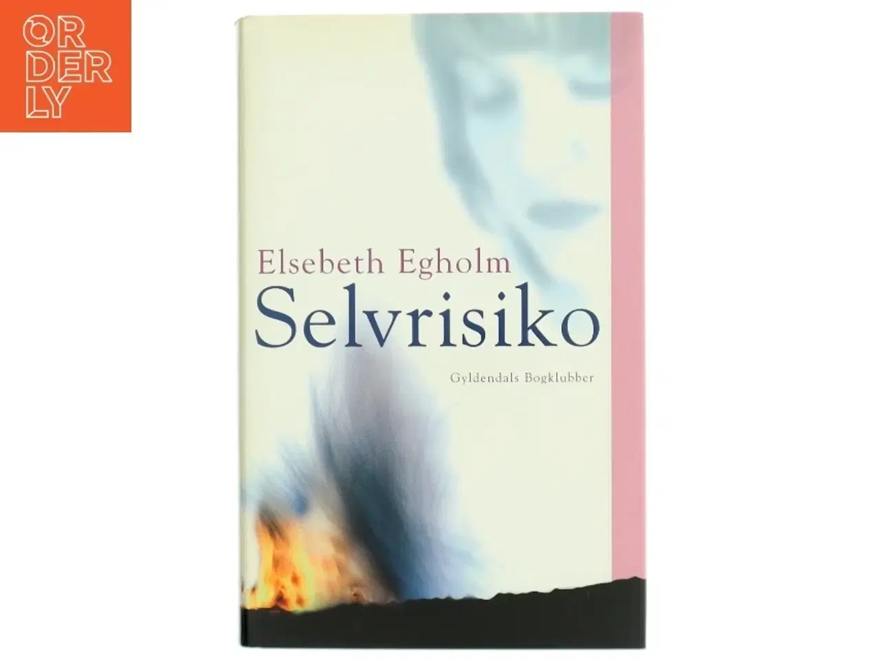 Billede 1 - Selvrisiko af Elsebeth Egholm (Bog)