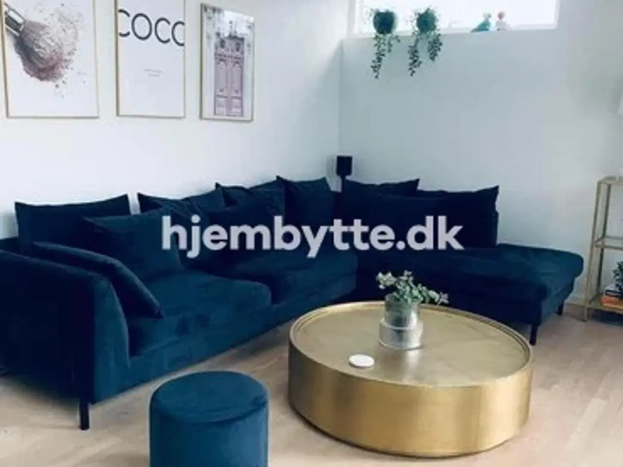 Billede 3 - Hjembytte - Køjevænget