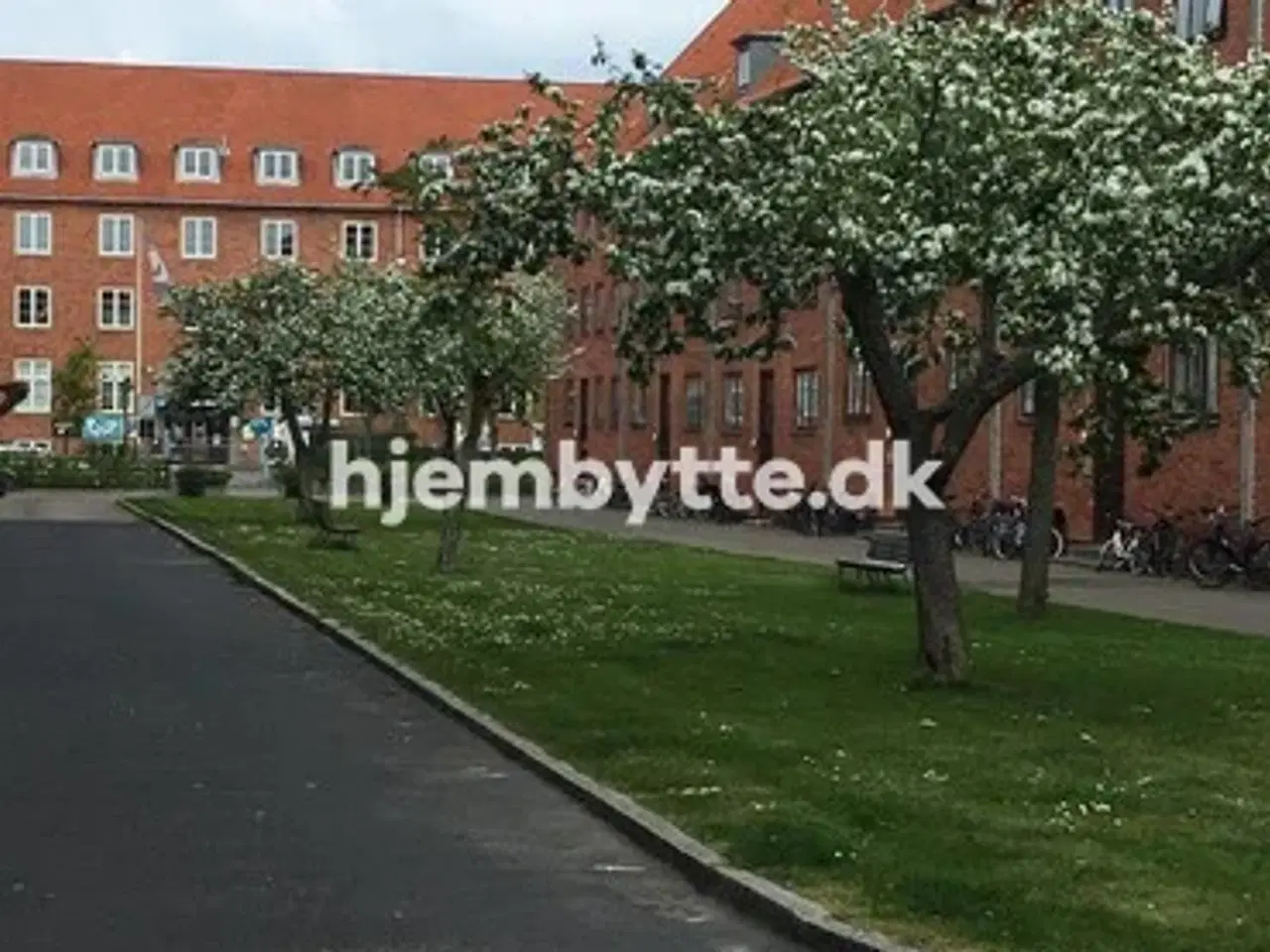 Billede 2 - Hjembytte - Tornskadestien