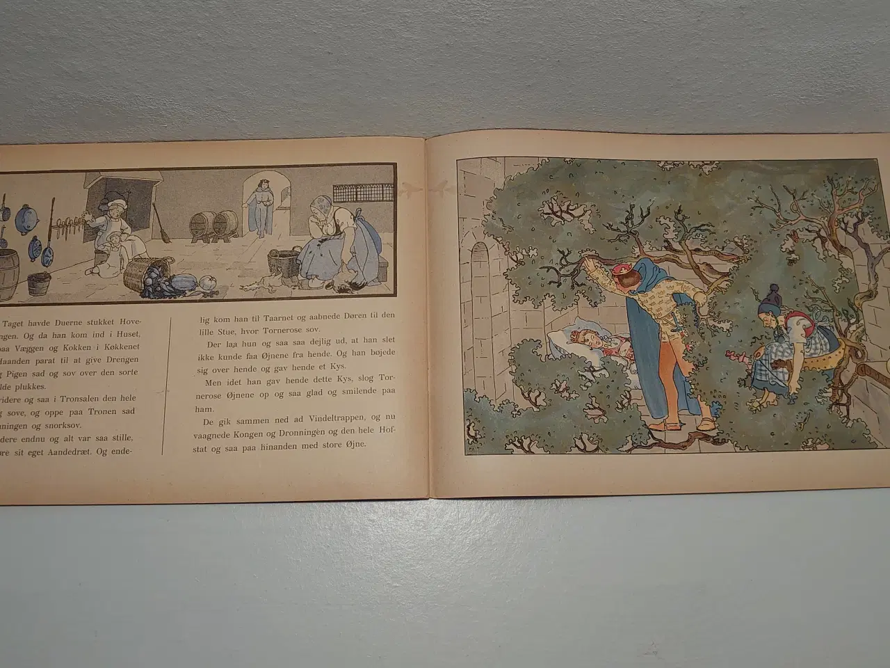 Billede 6 - Brdr. Grimm: Tornerose.ill. Agnes Helms. År1918.
