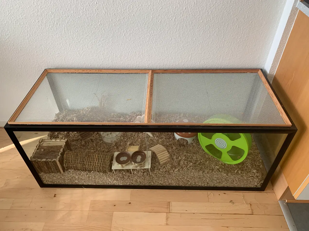 Billede 2 - Hamster bur + guldhamster 