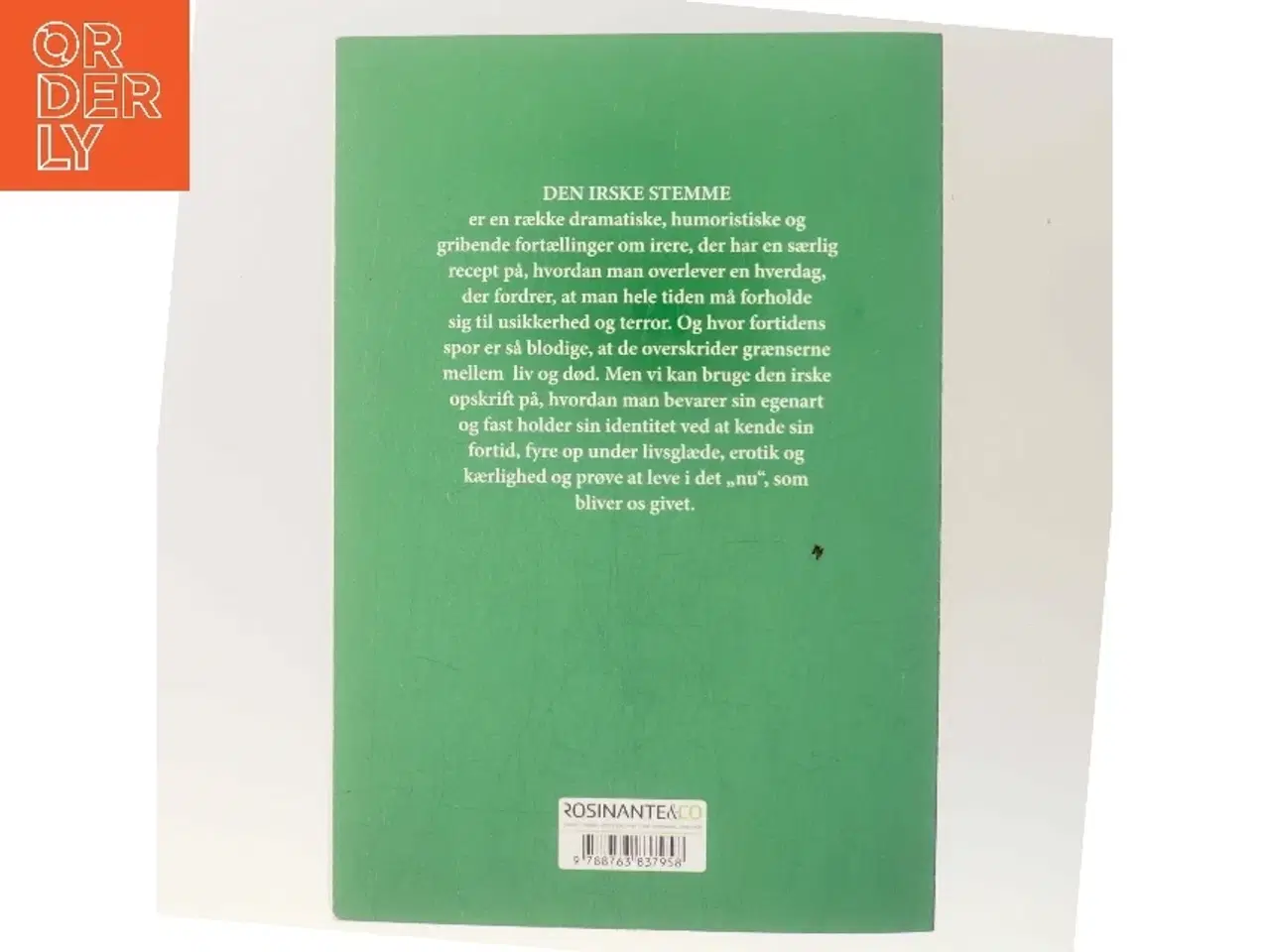 Billede 3 - Den irske stemme : fortællinger af Jane Aamund (Bog)