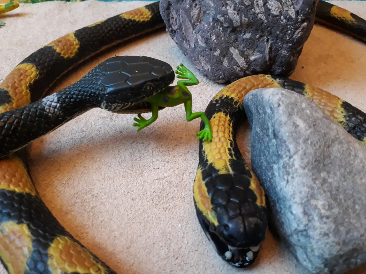 Billede 3 - 2 Slanger med krybdyr