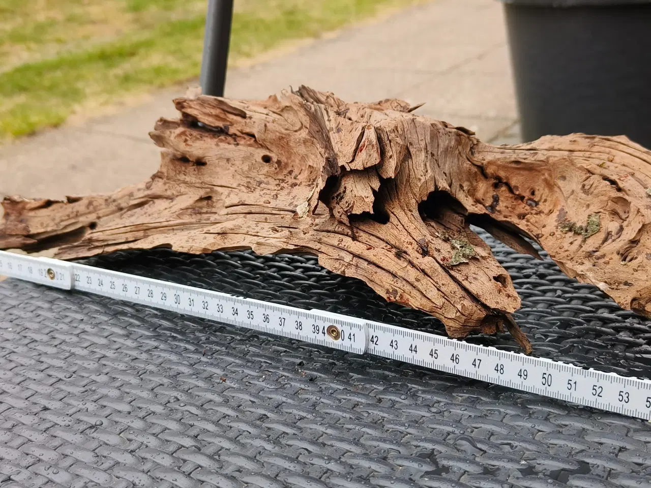 Billede 6 - Flotte trærødder sælges