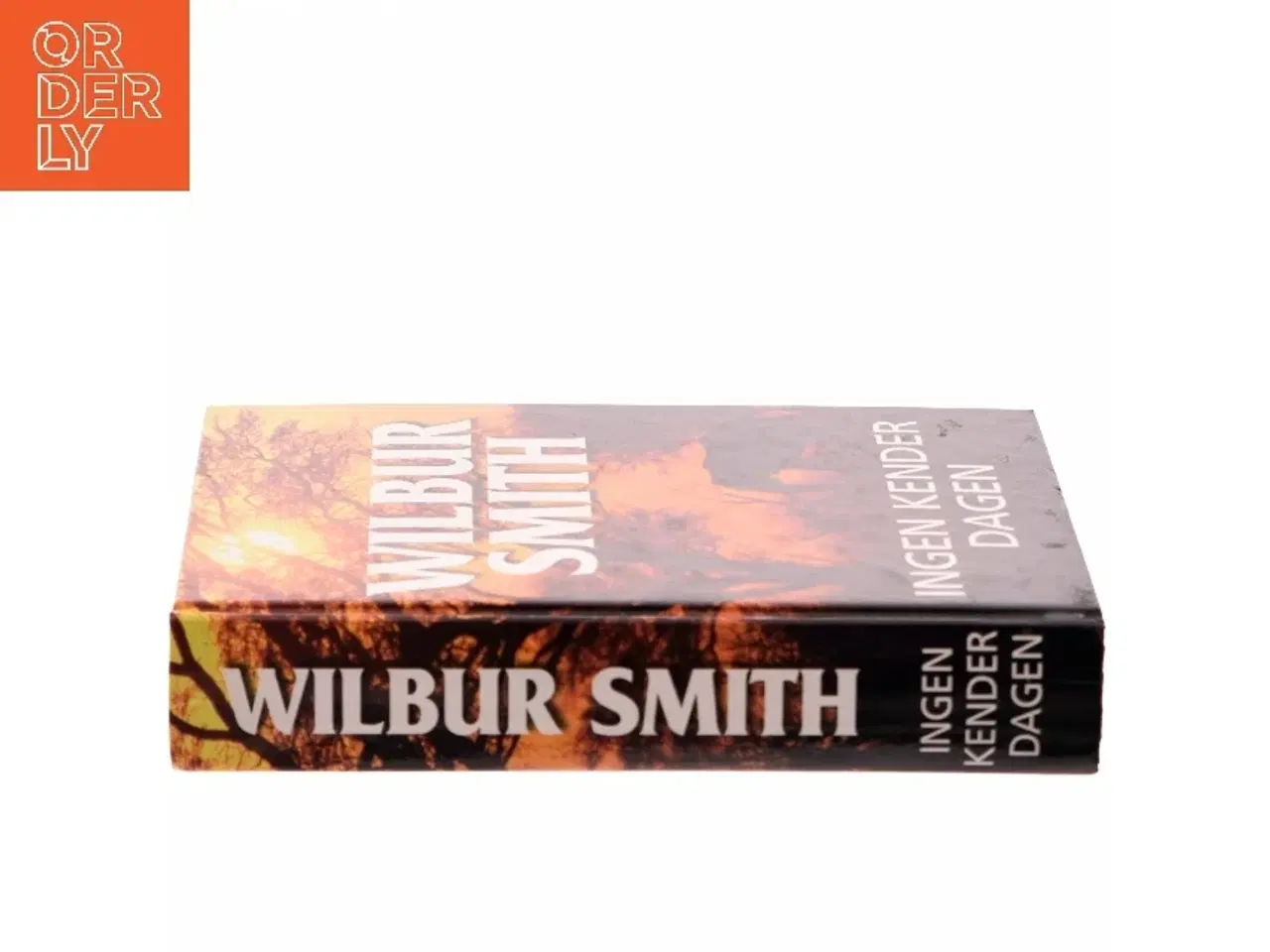 Billede 2 - Ingen kender dagen af Wilbur A. Smith (Bog)