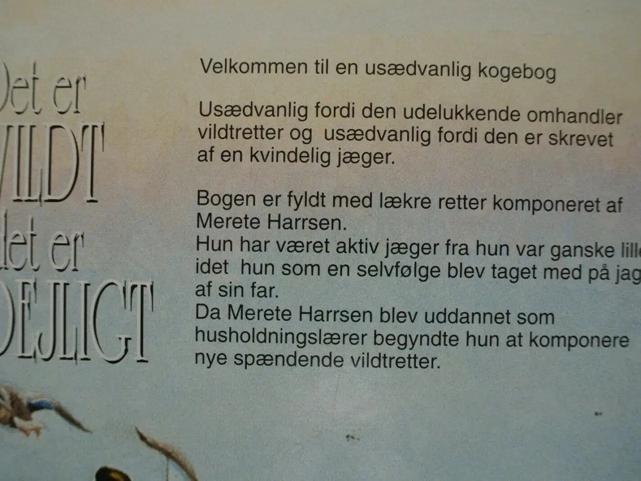 Billede 3 - det er vildt - det er dejligt, af merete harrsen. 