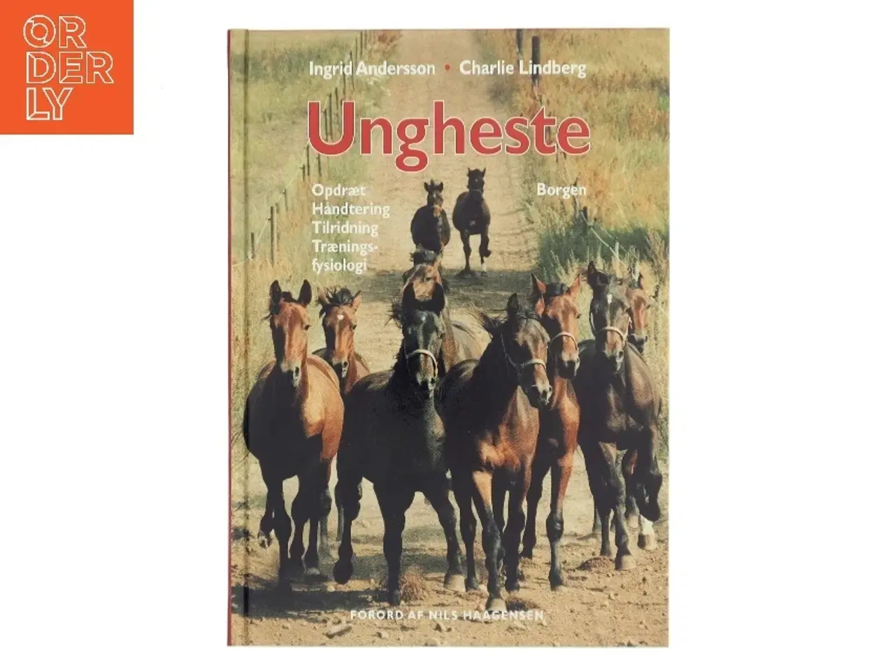 Billede 1 - Ungheste : opdræt, håndtering, tilridning og træningsfysiologi (Bog)