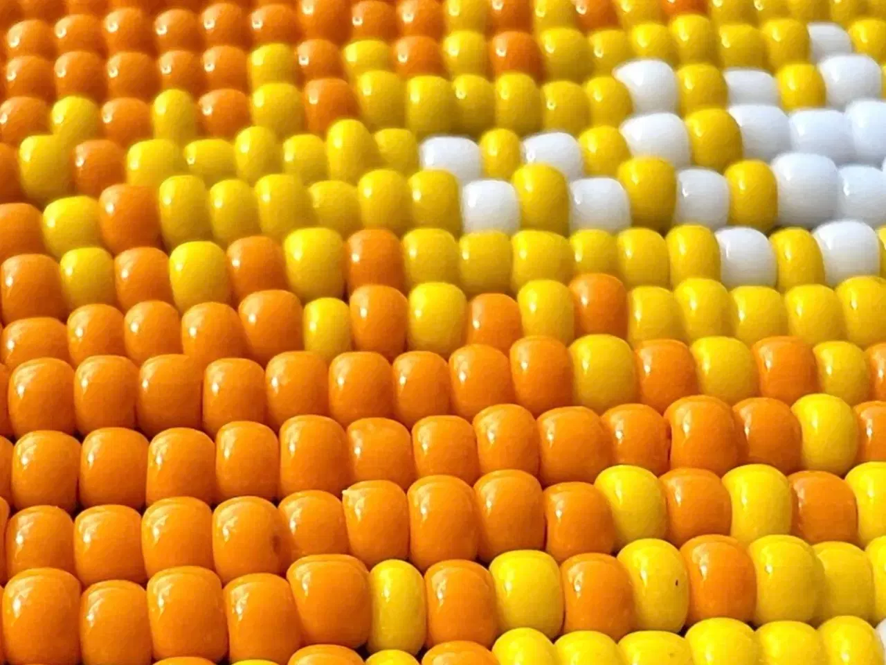 Billede 2 - Grønlandske øreringe, håndlavede 