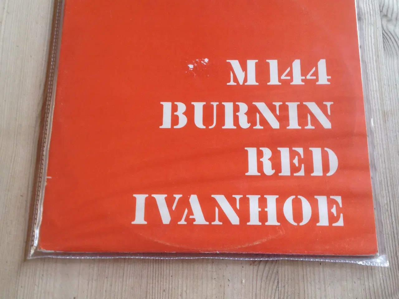 Billede 3 - Burnin Red Ivanhoe