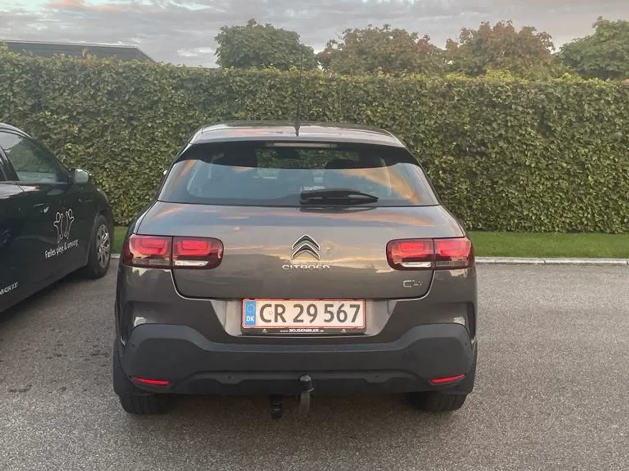 Billede 7 - Citroën c4 cactus 1,5