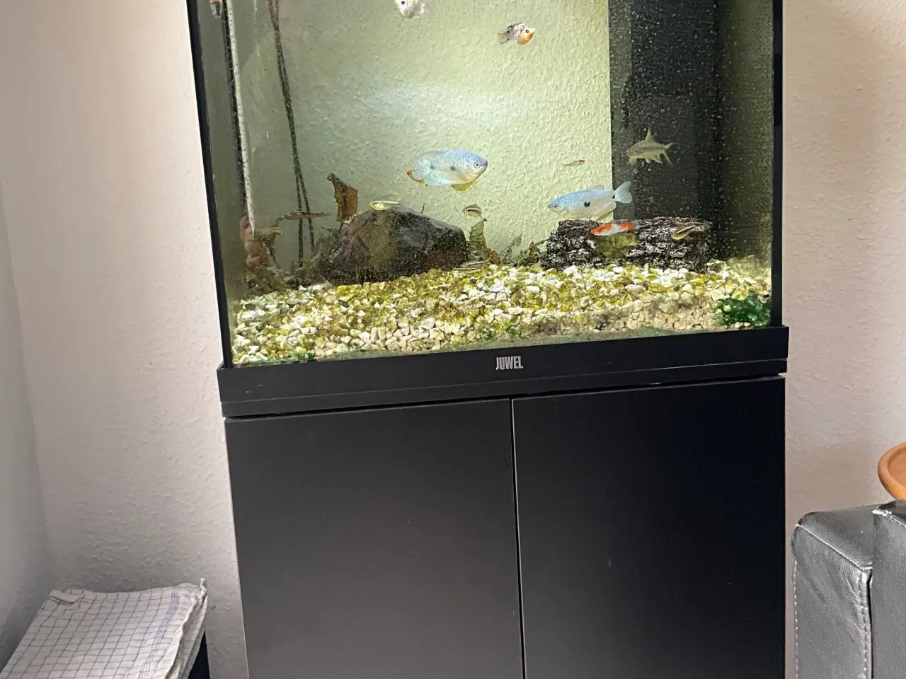 Billede 2 - Juwel Lido 120L 