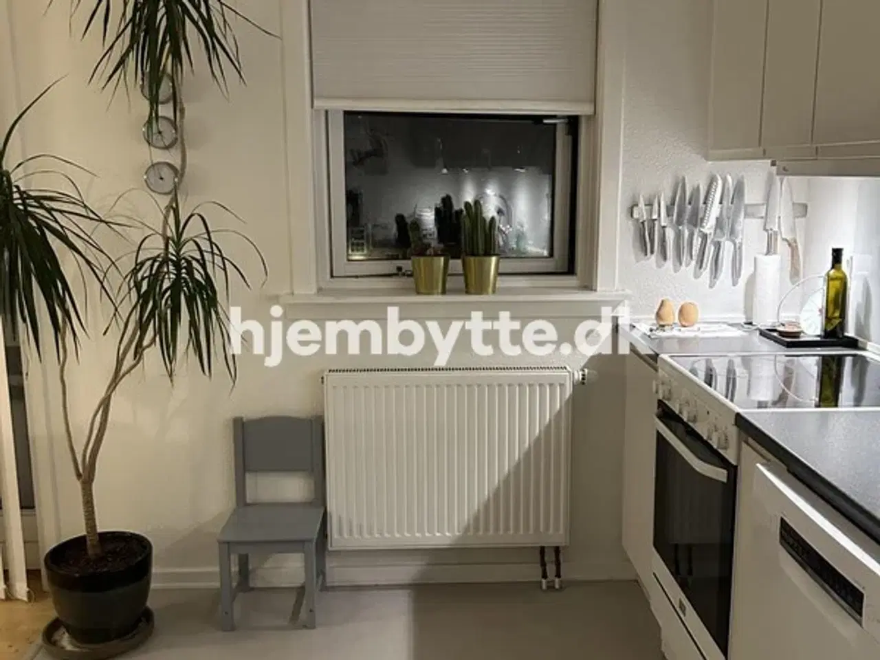 Billede 2 - Hjembytte - NordreFasanvej