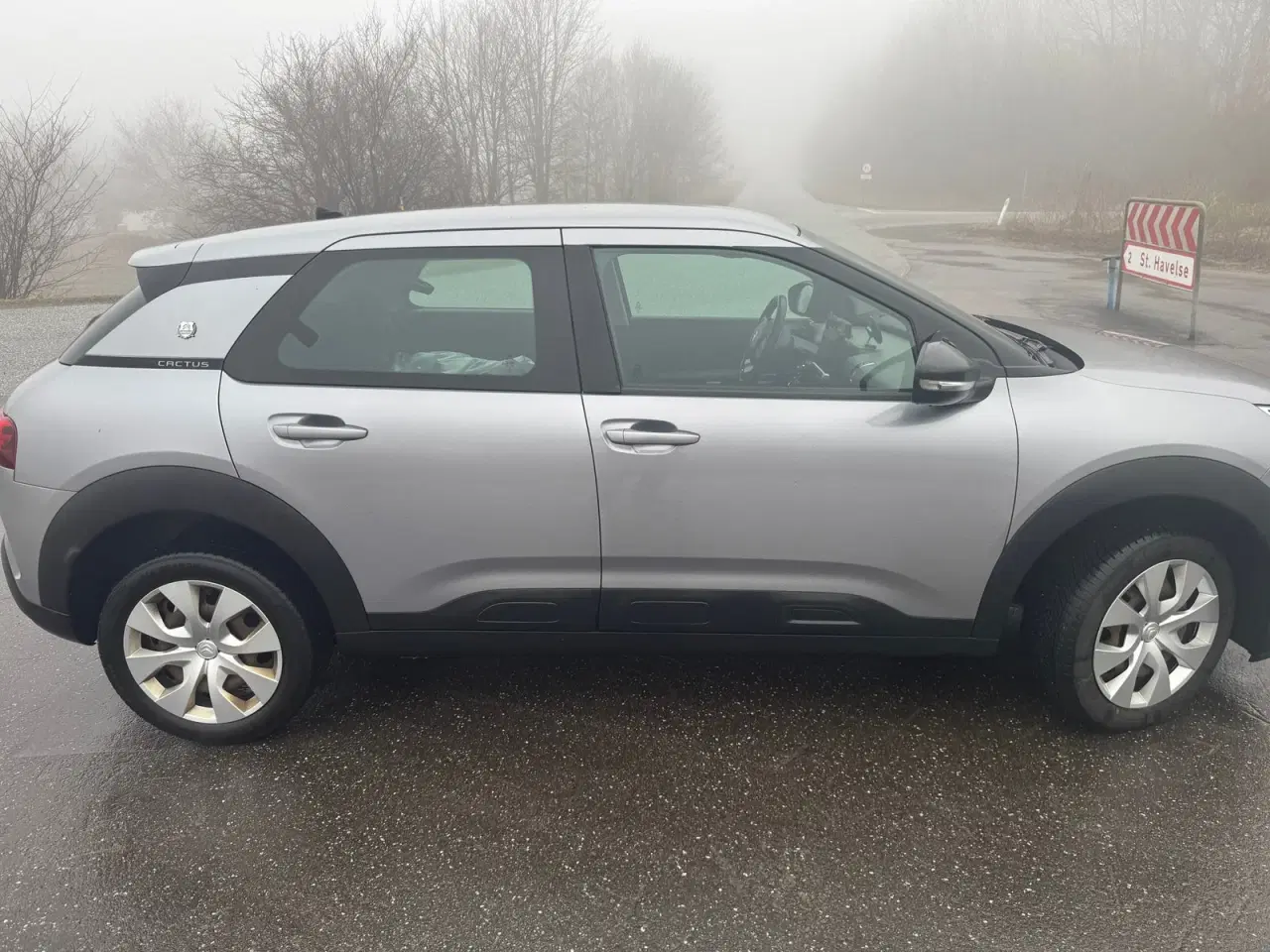 Billede 3 - Citroën C4 Cactus 1,2 PureTech 110 Platinum