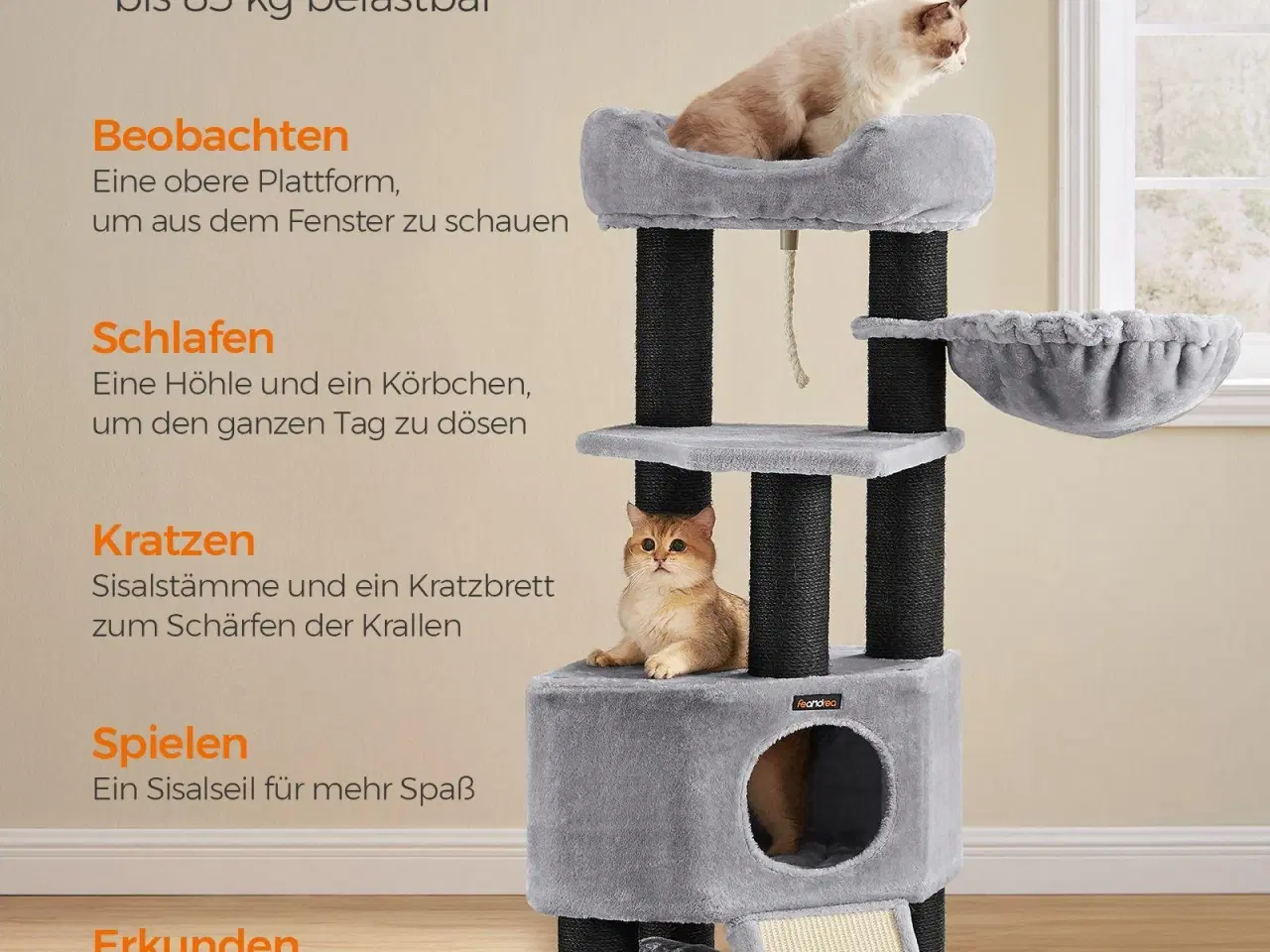 Billede 4 - Kattetræ – FEANDREA stort kradsetræ med blød plys-kurv, hule og hængekøje, ekstra tykke sisalstolper, stabilt – lysegrå PCT02W