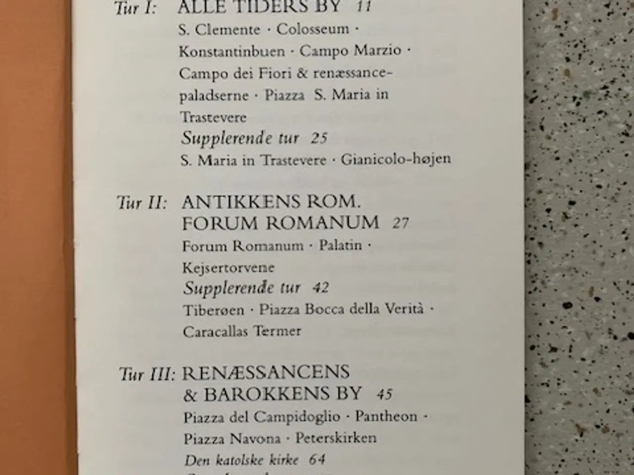 Billede 2 - Studietur Rom, Ole Laursen Vig og Henrik Fich
