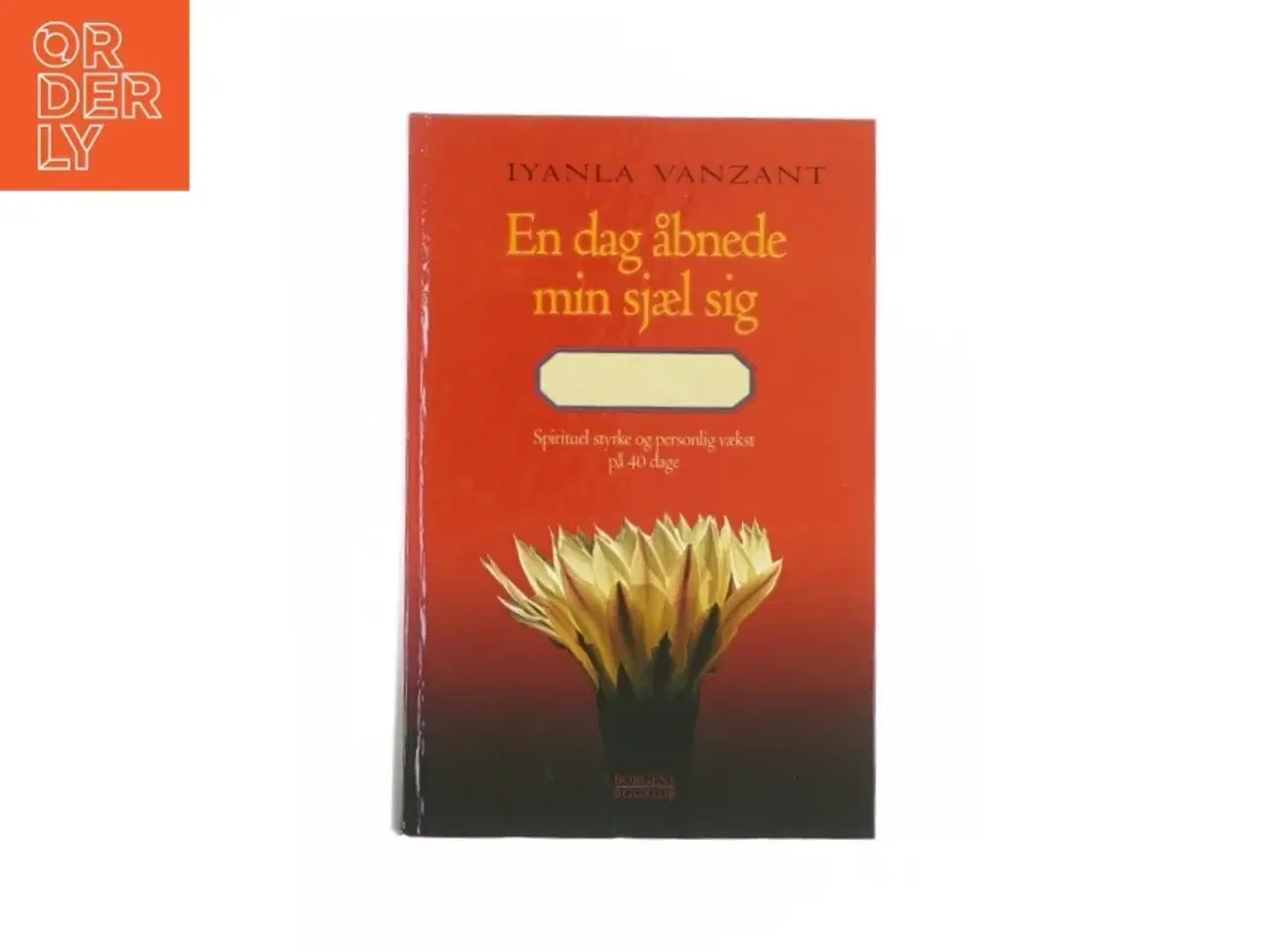 Billede 1 - En dag åbnede min sjæl sig - af IIyanla Vanzant Bog