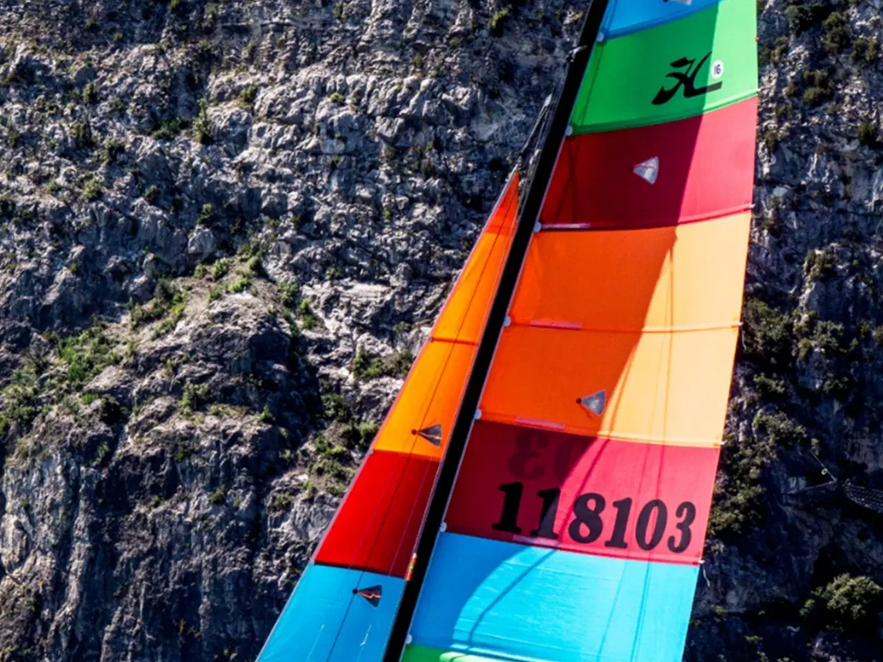 Billede 1 - Hobie 16, 2022 Worlds boat #49