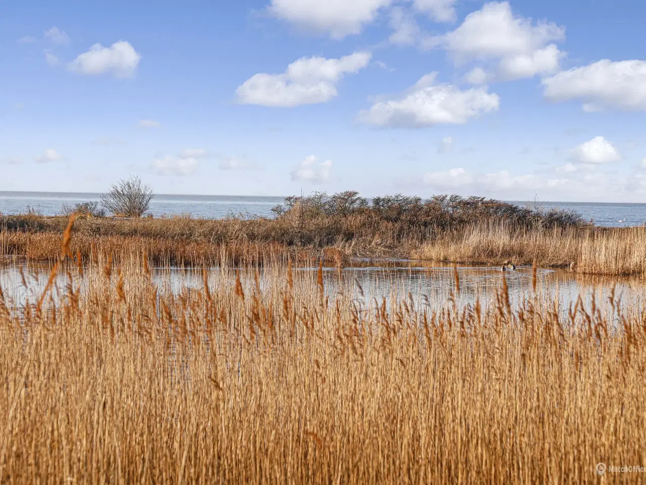 Billede 25 - Lagerlokale til leje med god beliggenhed og faciliteter.