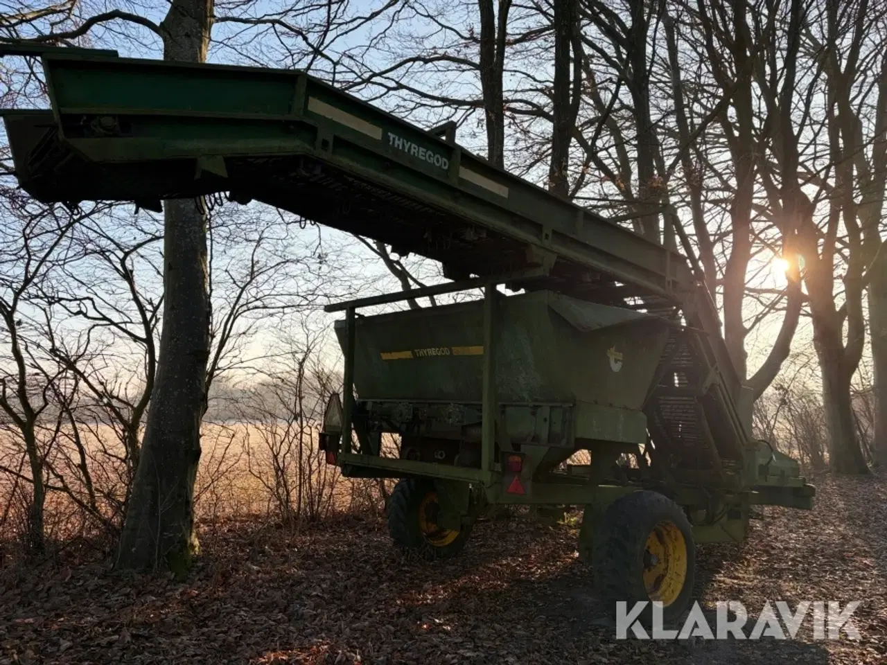 Billede 3 - Ruerenser Thyregods