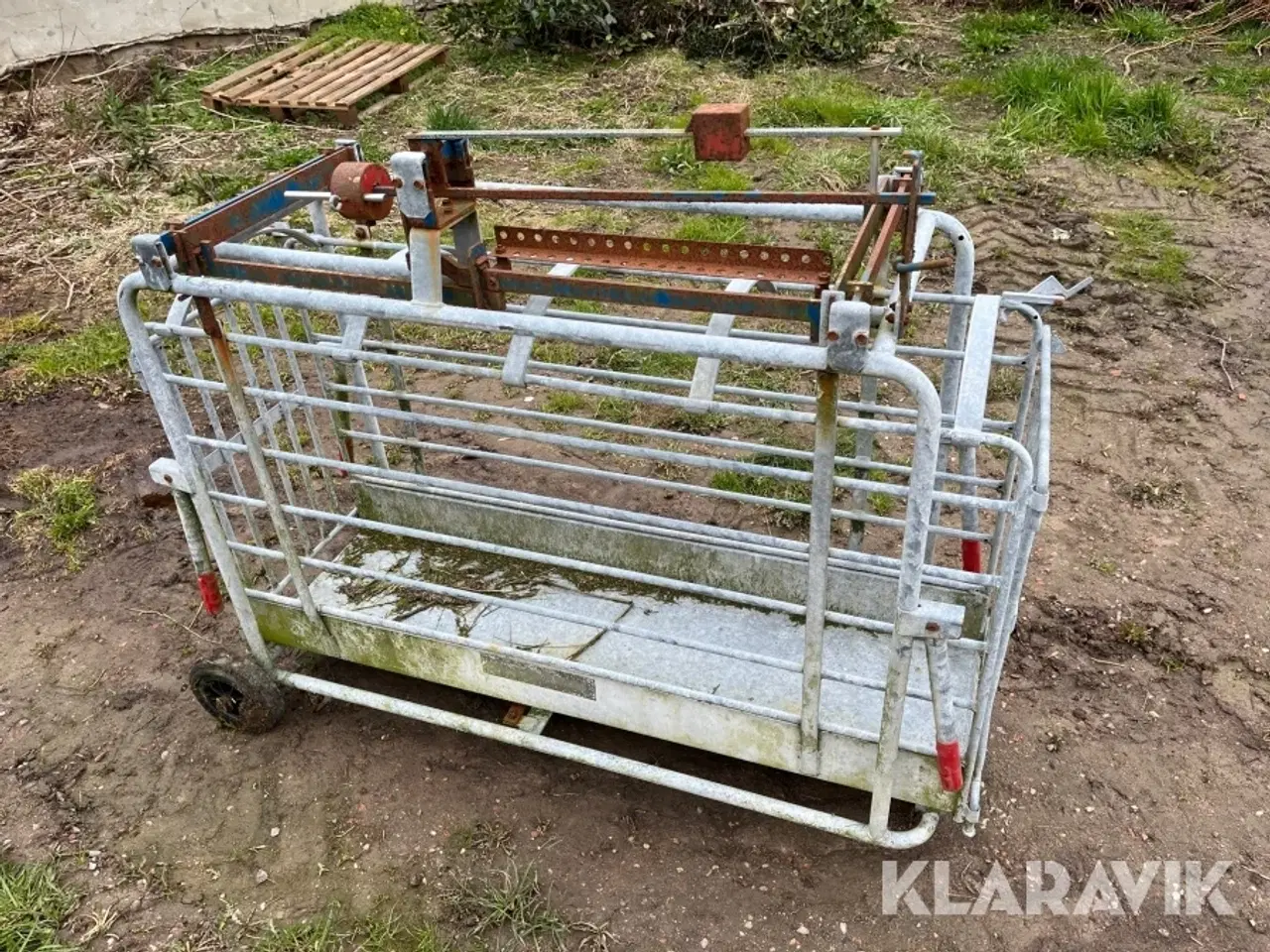 Billede 12 - Grisevægte Model 65/danvægt 2 styk