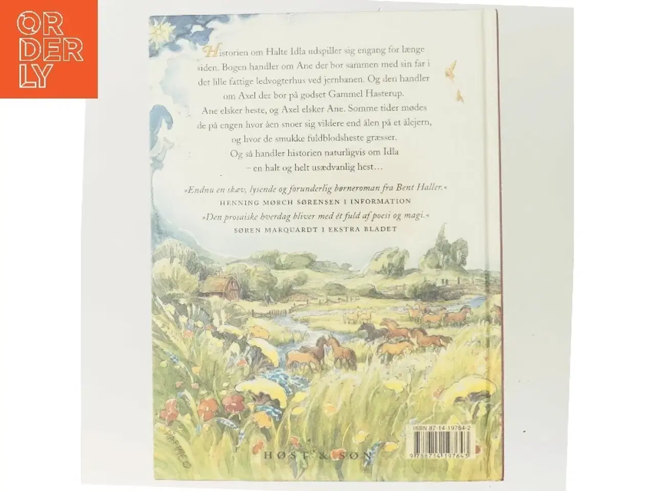 Billede 3 - Halte Idla : en fortælling om tro, håb og kærlighed af Bent Haller (Bog)