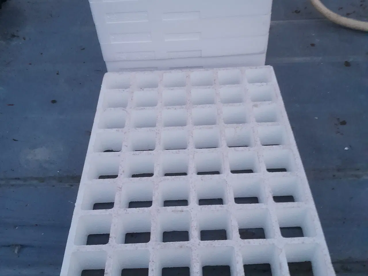 Billede 1 - 100 stk Så / Prikle bakke