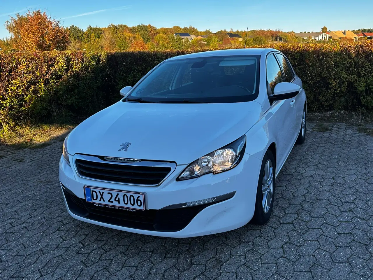 Billede 9 - Peugeot 308 1.6 HDi 92 Active 5d – 2014 155000km