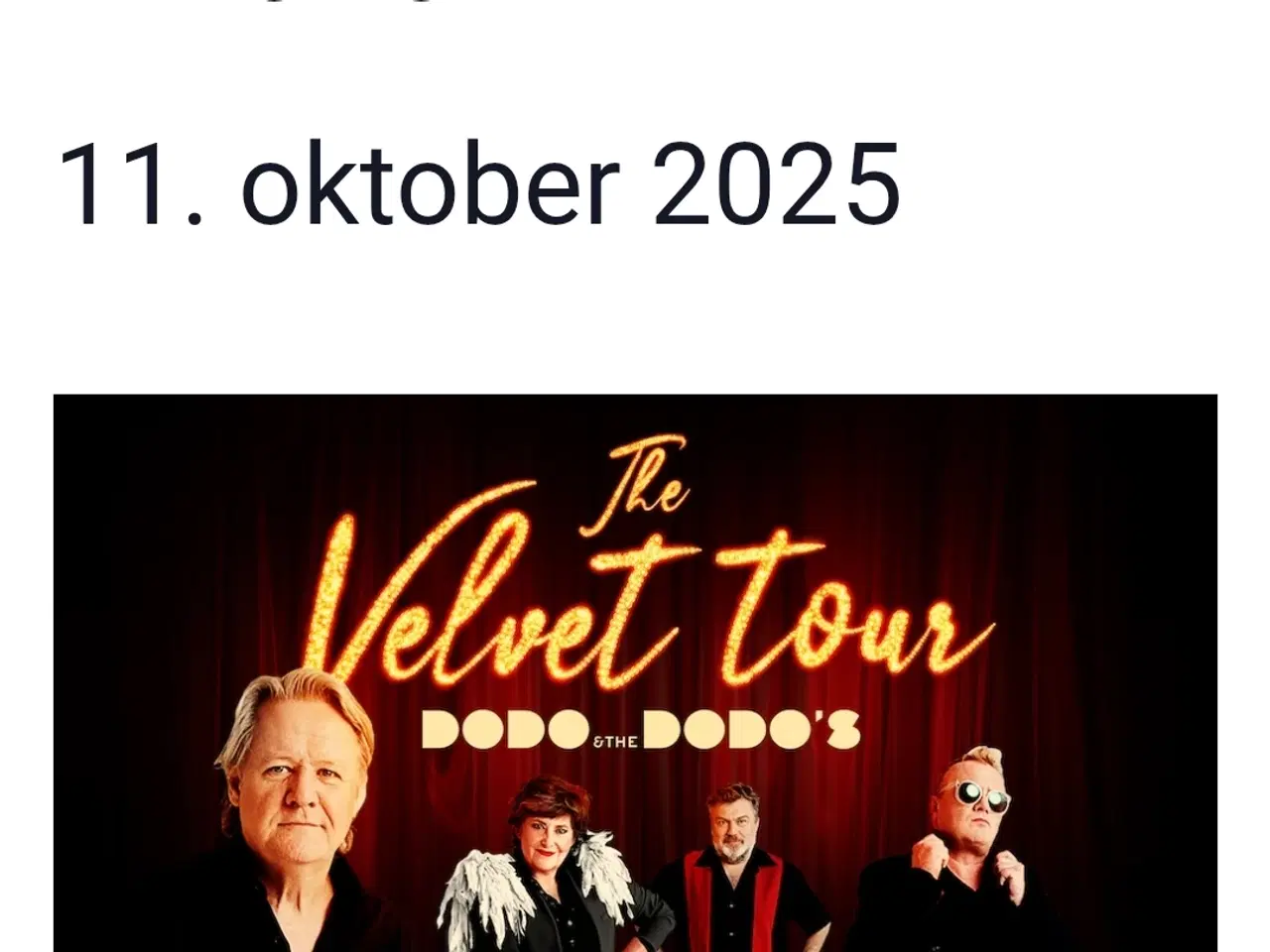 Billede 1 - Dodo and the Dodos - koncert biletter 