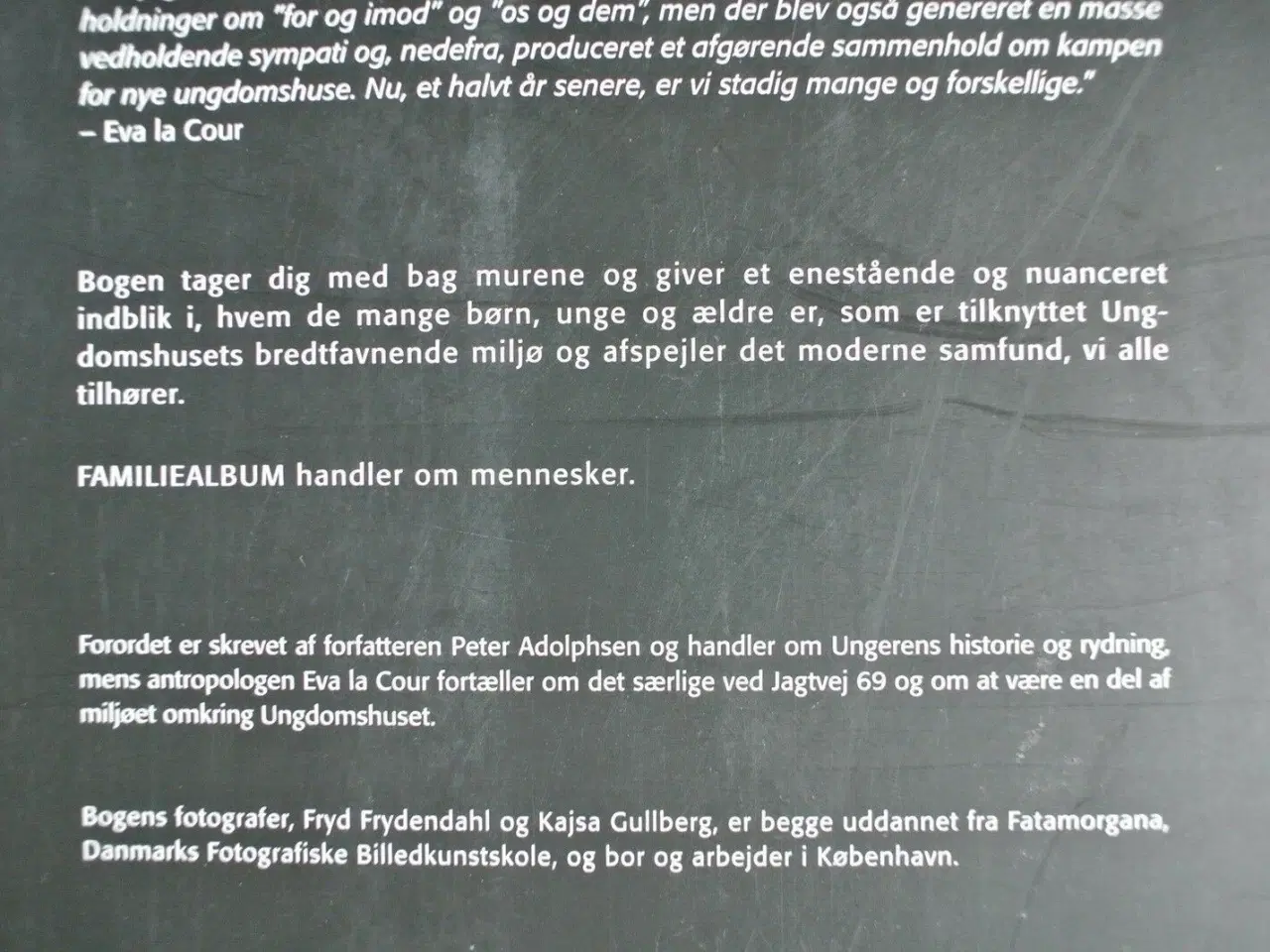 Billede 3 - familiealbum - portrætter fra ungeren, af kajsa gu