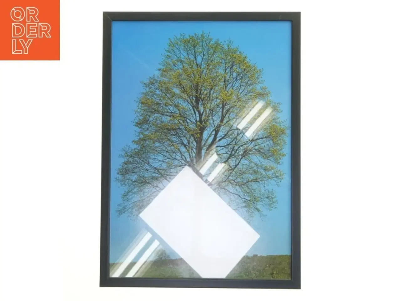 Billede 1 - Plakat med træmotiv i ramme (str. 30x42 cm)