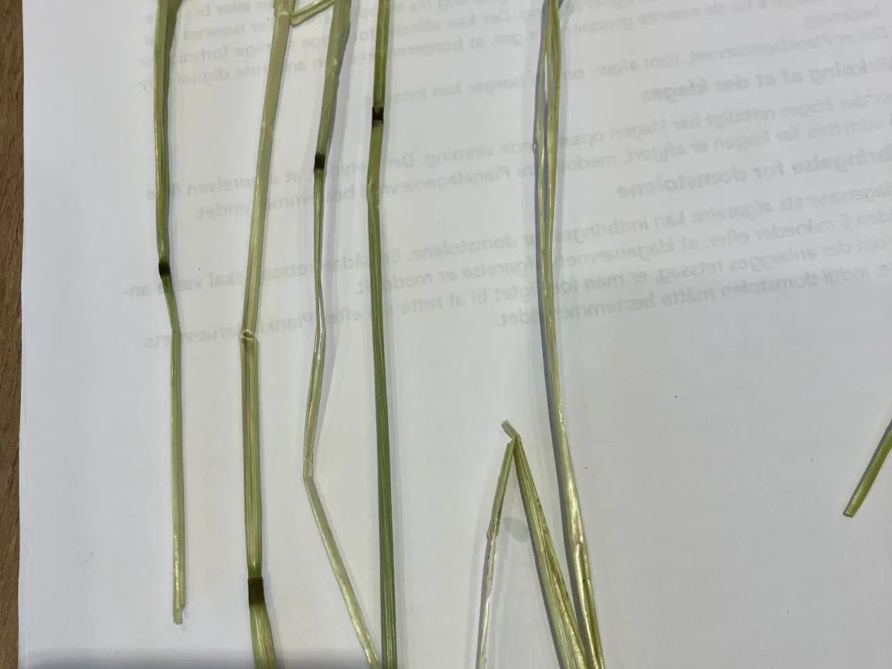 Billede 3 - Wraphø topkvalitet i små baller