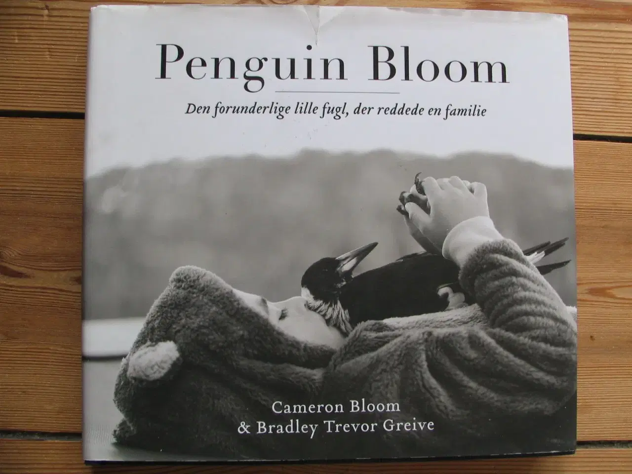 Billede 1 - Penguin Bloom - Den forunderlige lille fugl
