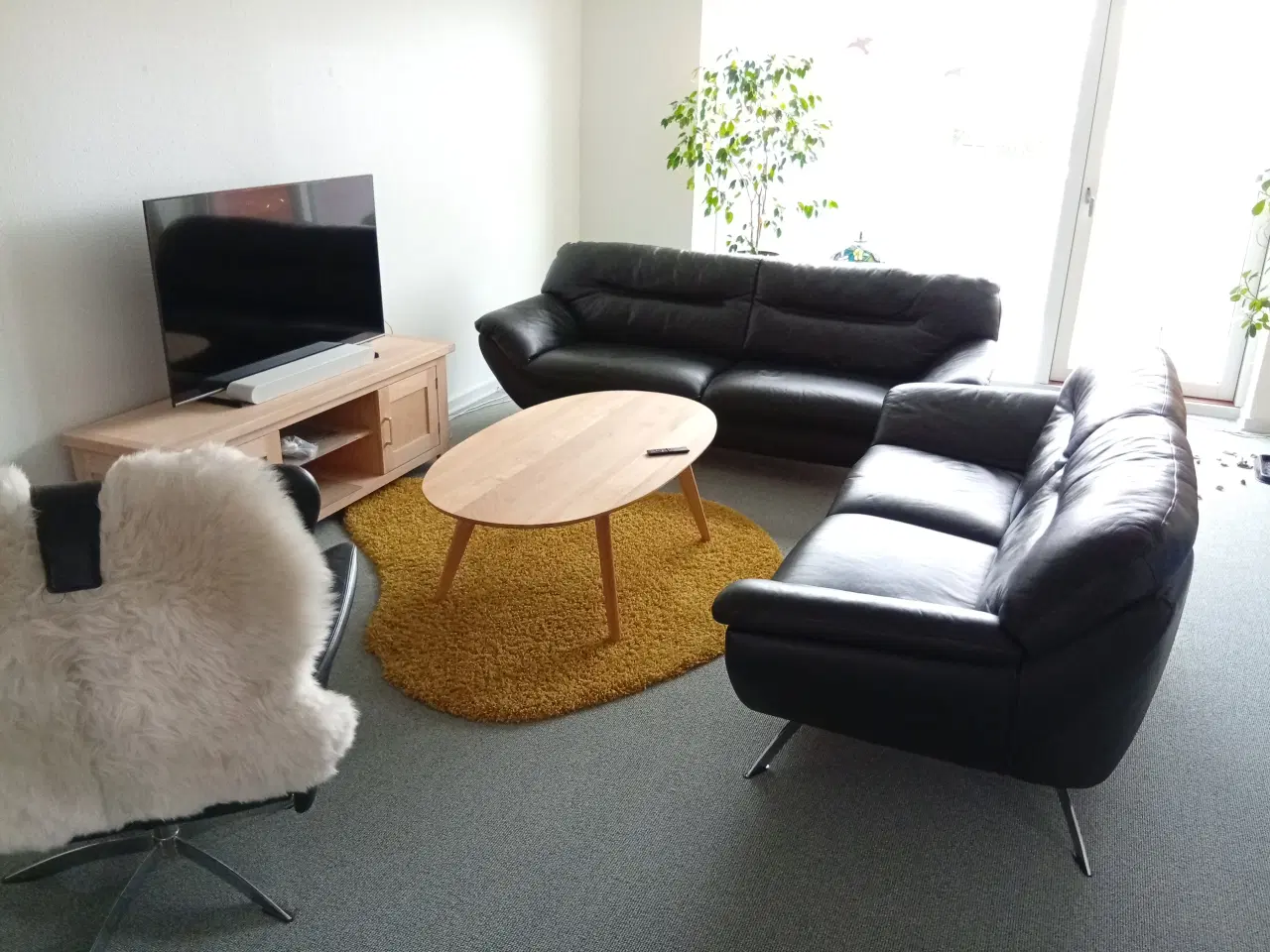 Billede 1 - Hjort Knudsen 