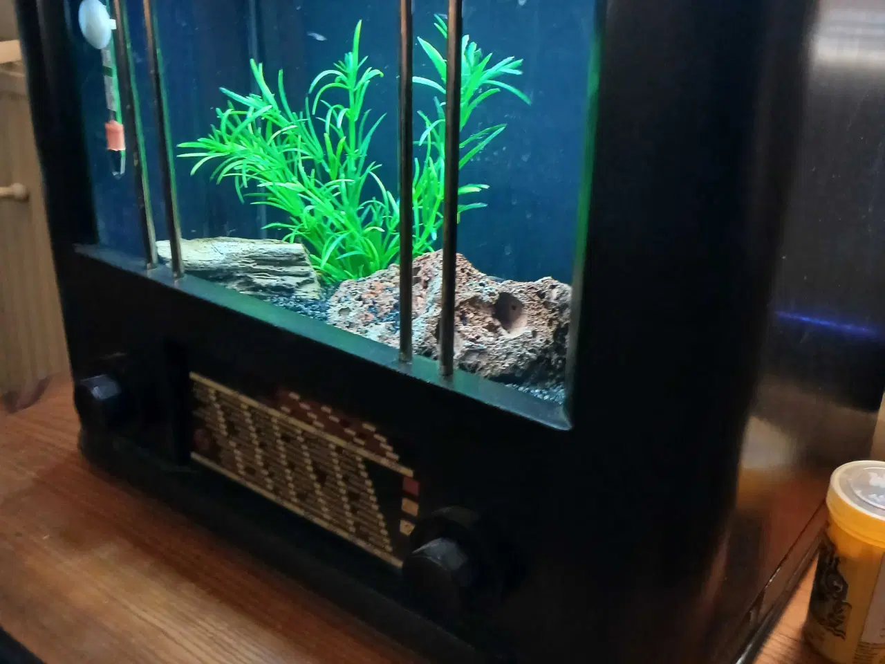 Billede 9 - Akvarium