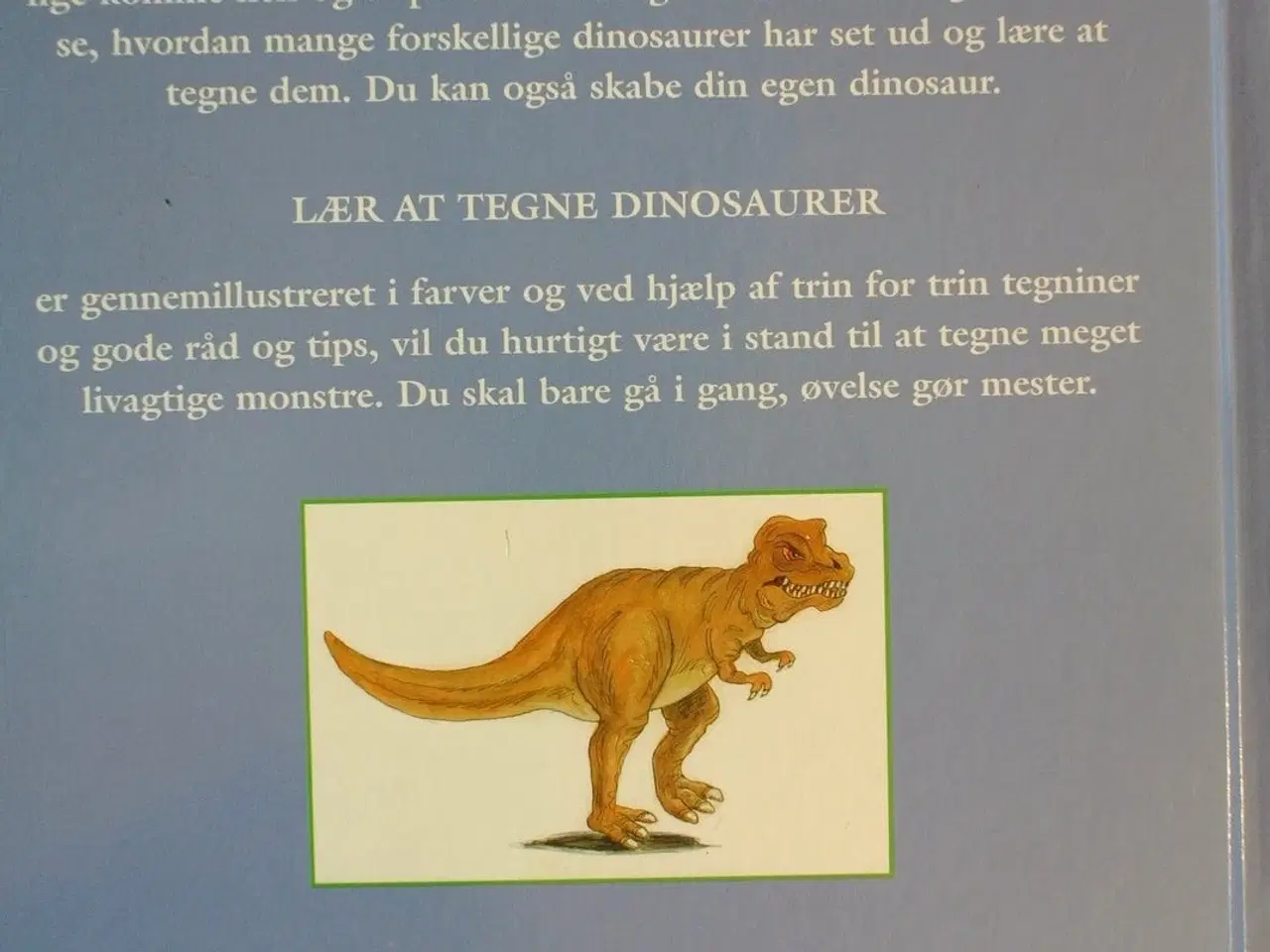Billede 4 - lær at tegne dinosaurer, af erik schrader, emne: h