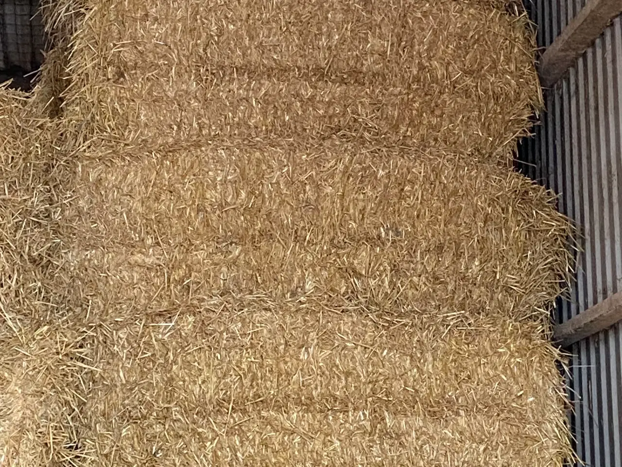 Billede 1 - Rug halm