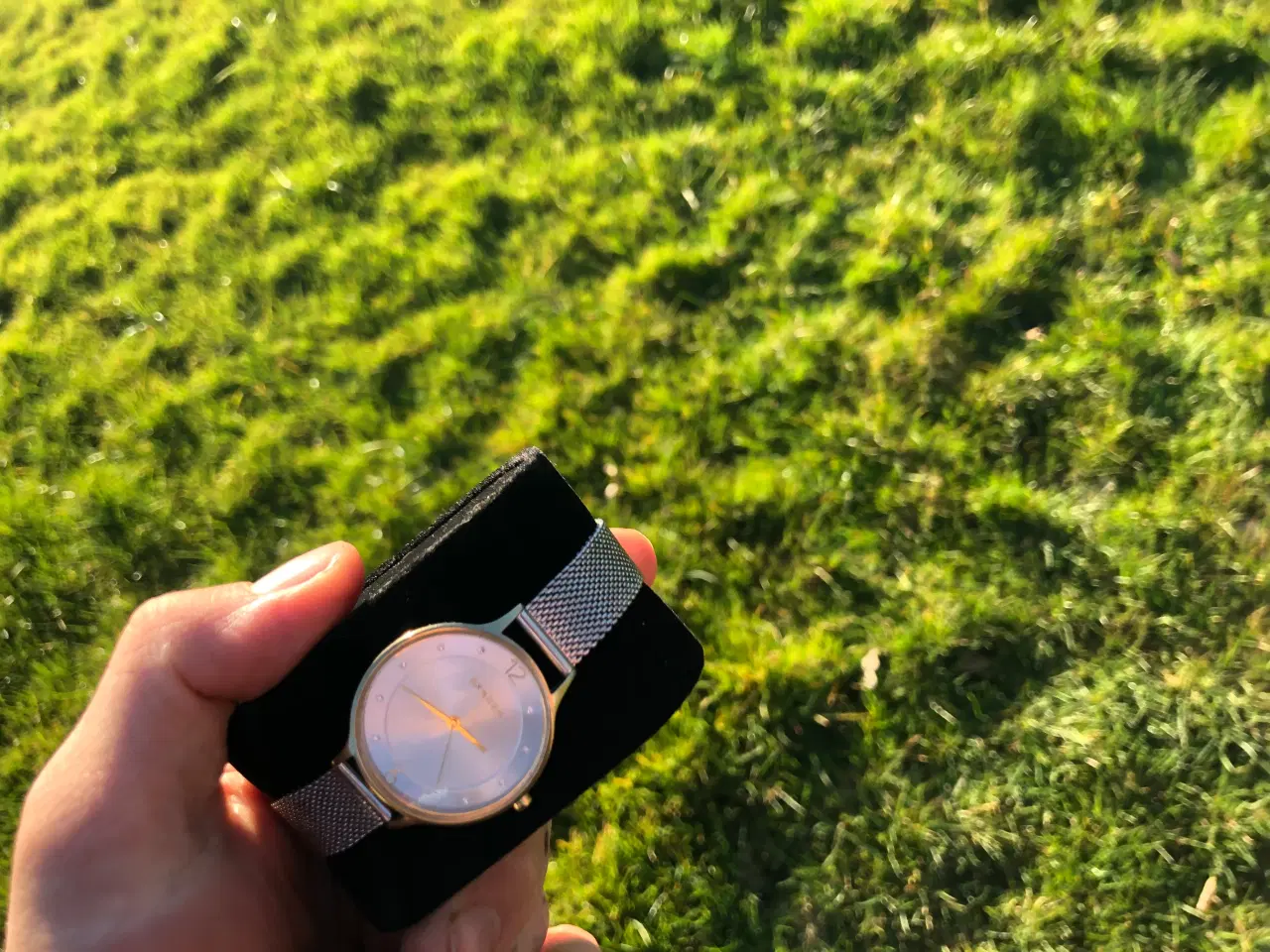 Billede 2 - Skagen Quartz dame ur