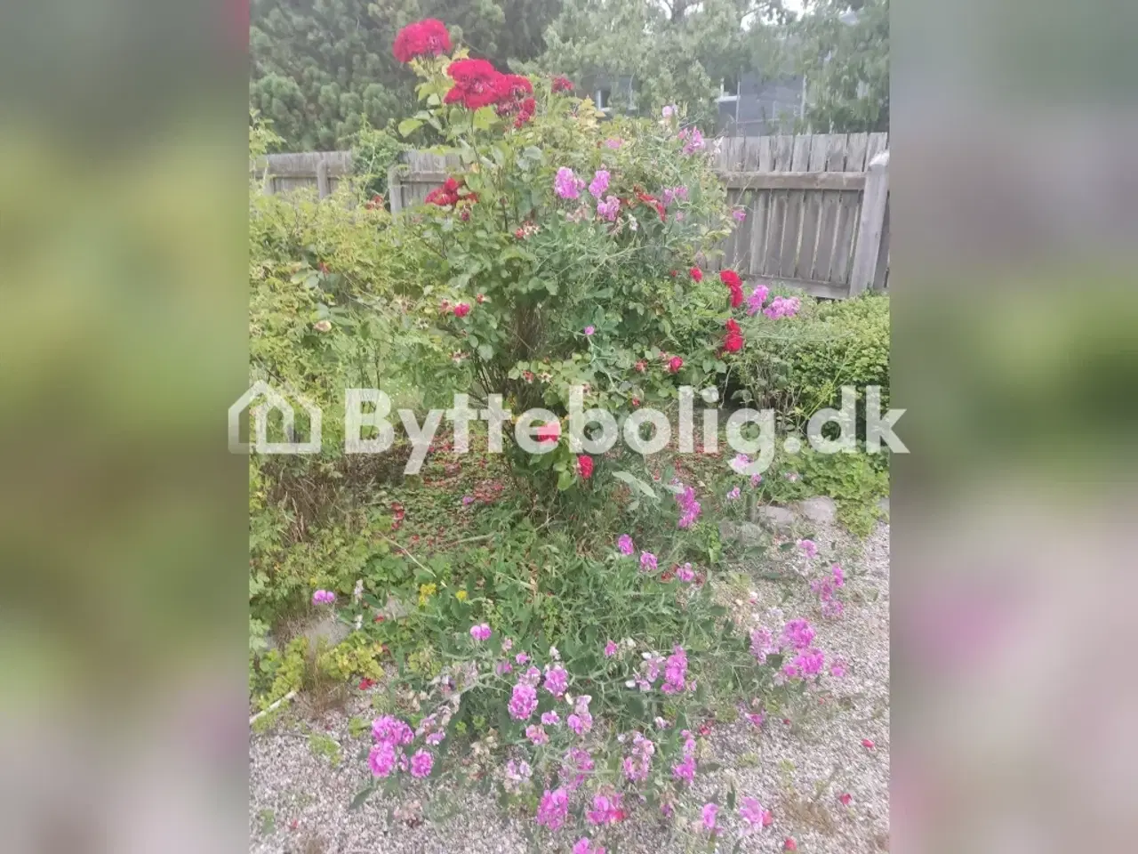 Billede 4 - Hus med have i grønne omgivelser