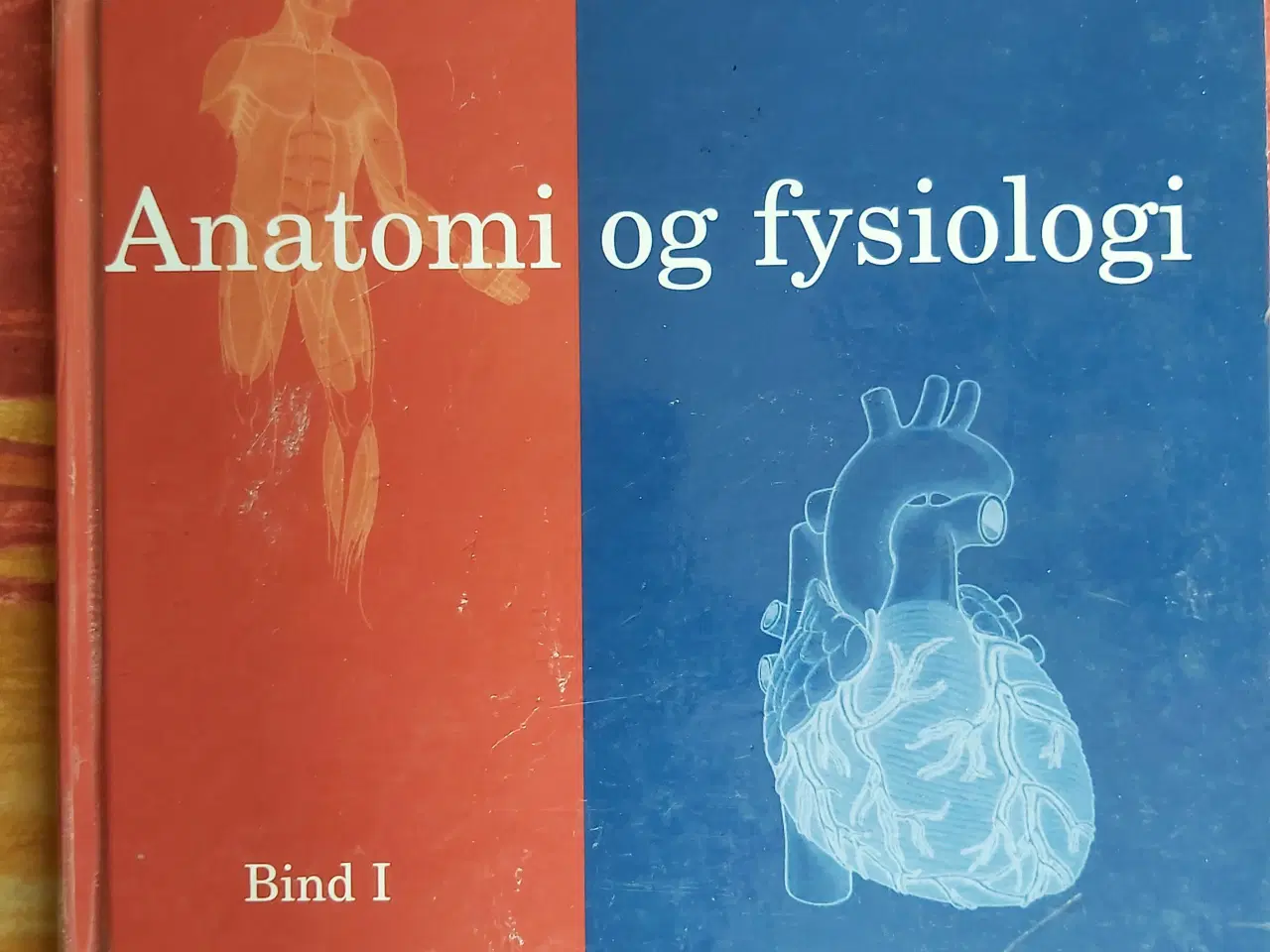 Billede 1 - Anatomi og fysiologi, bind 1