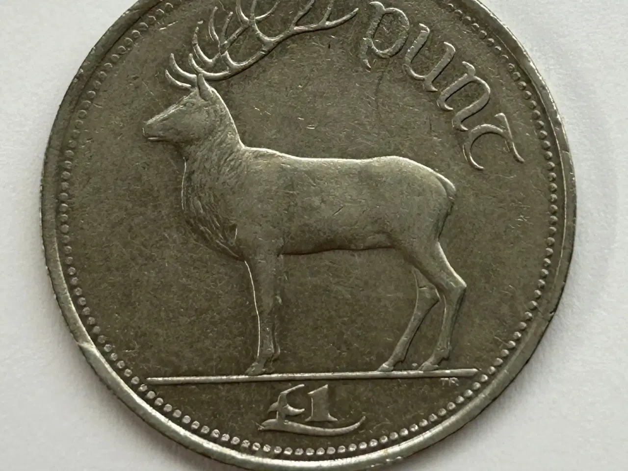 Billede 1 - 1 Pound Ireland 1998