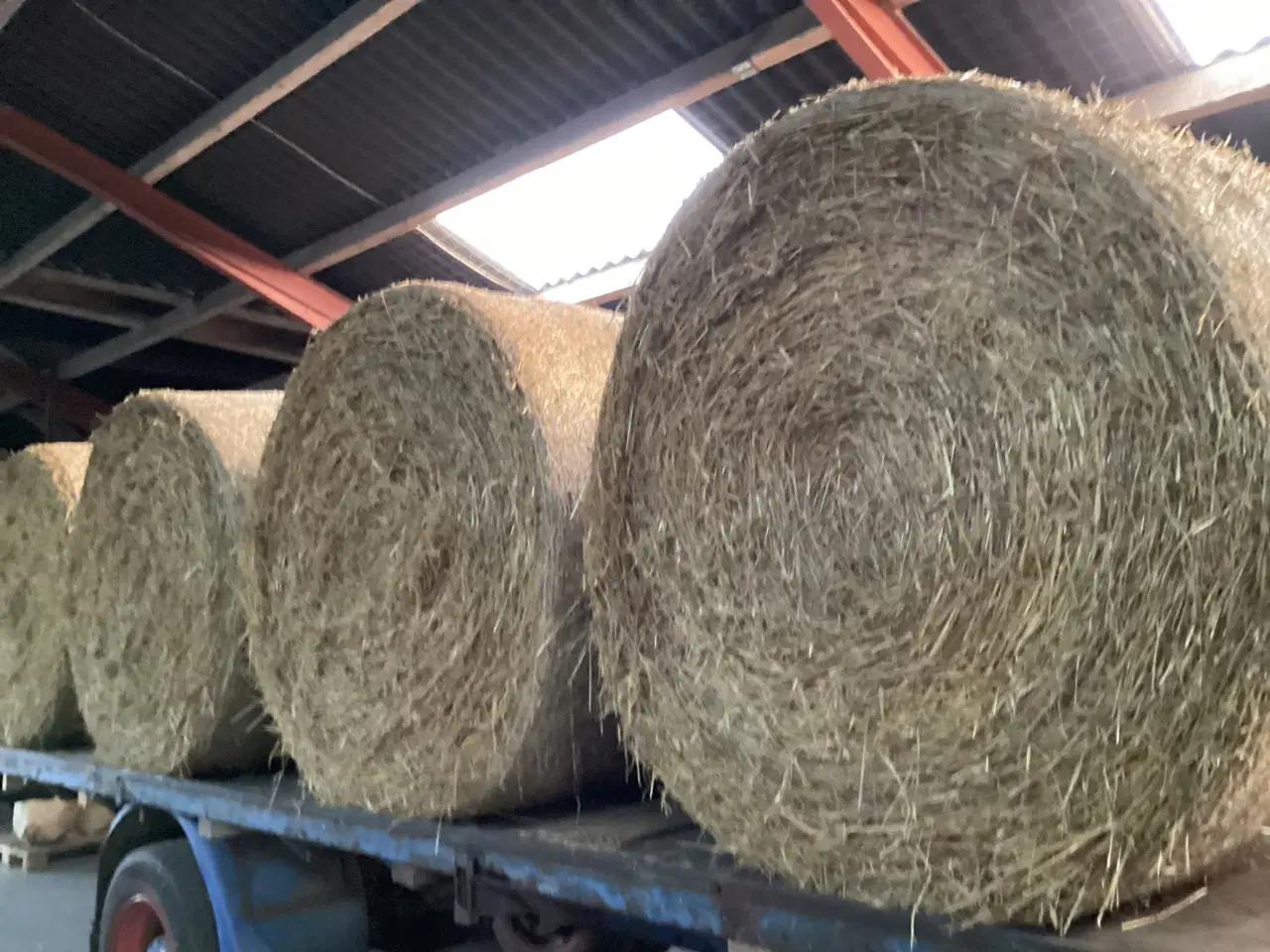 Billede 2 - Byghalm