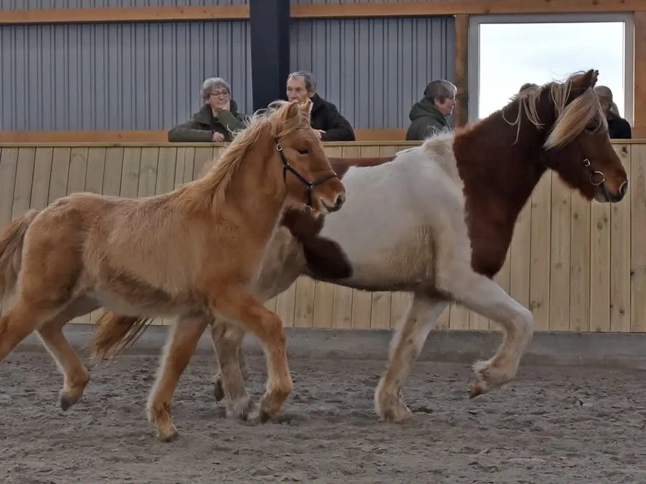 Billede 4 - Juletilbud 