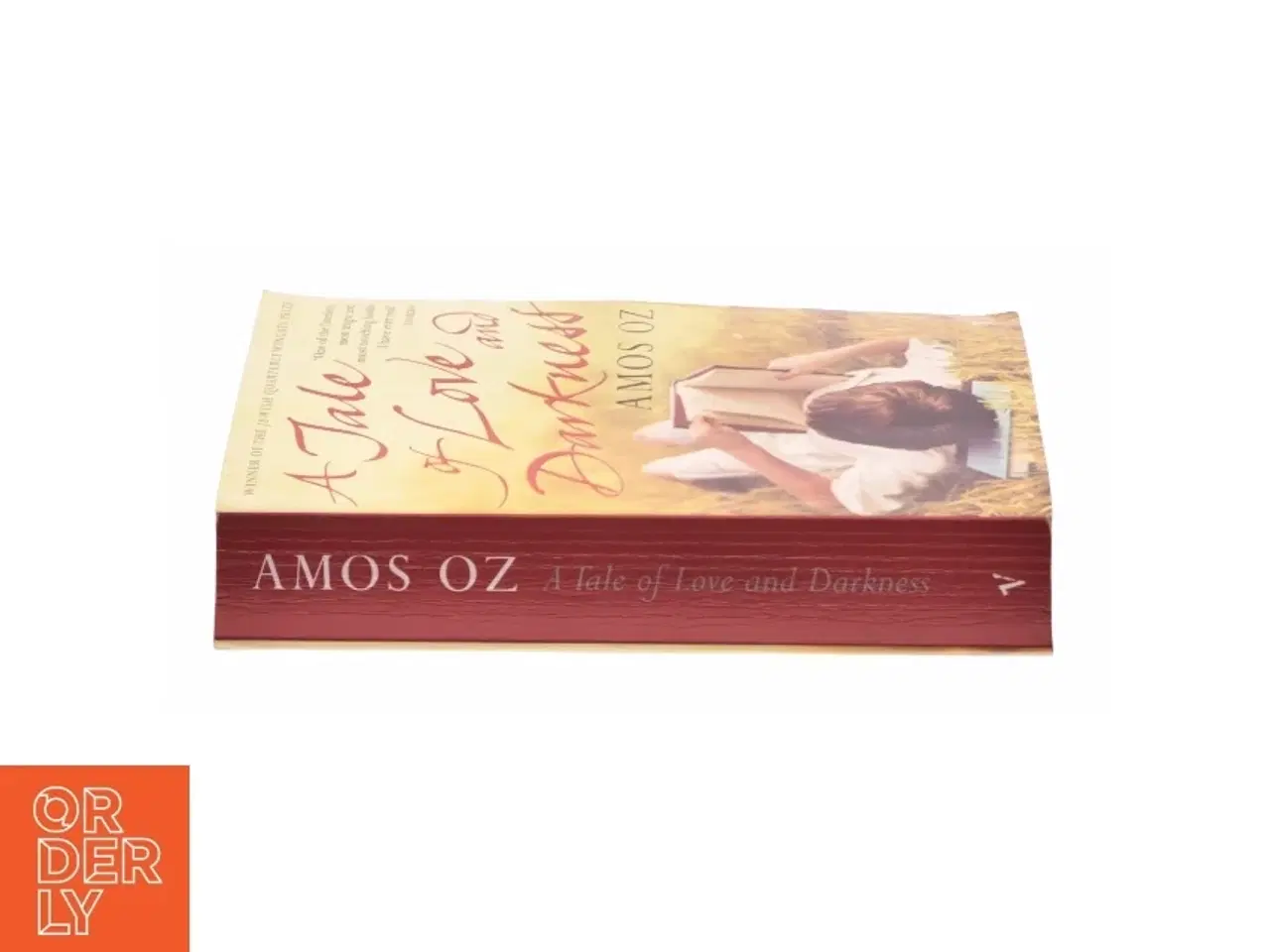 Billede 2 - A tale of love and darkness af Amos Oz (Bog)